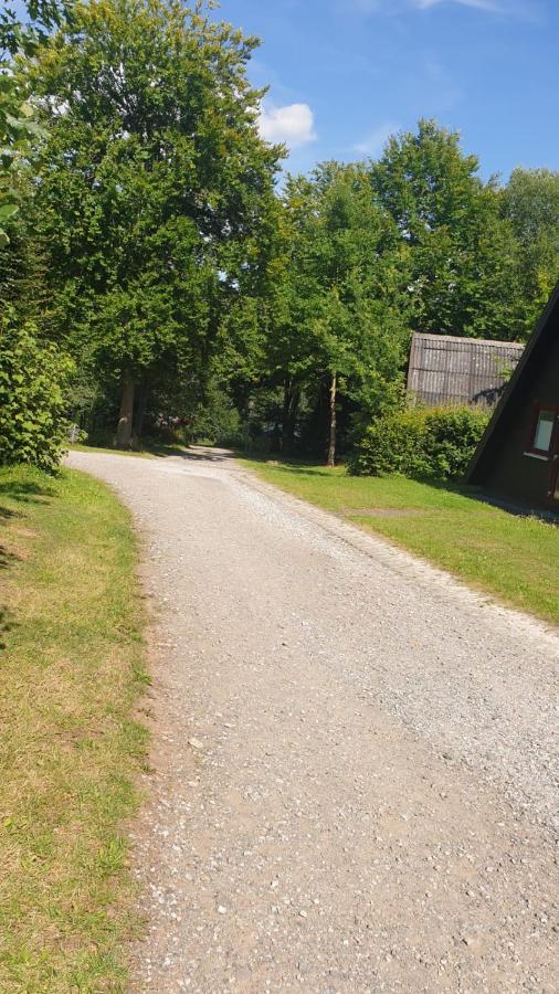 Ferienhaus Nr. 60 Im Ferienpark Am Twistesee Бад-Арользен Екстер'єр фото